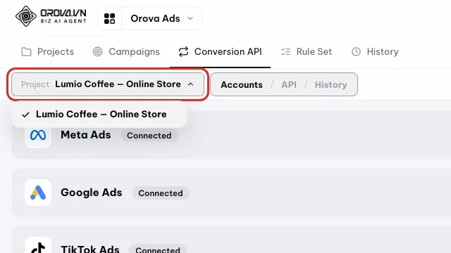 Menu Proyek terbuka di halaman Conversion API