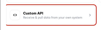 Il riquadro API personalizzata nel pannello Aggiungi dati