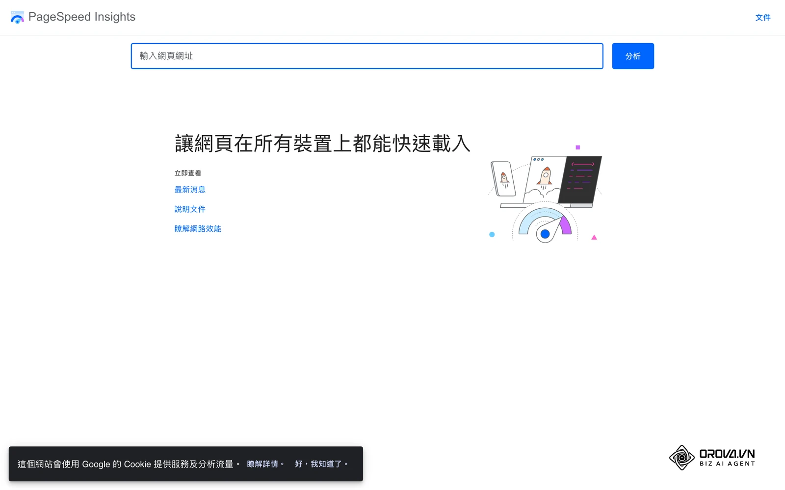PageSpeed Insights 可以測試網頁的核心網頁指標，是追蹤網站載入體驗的常用工具。
