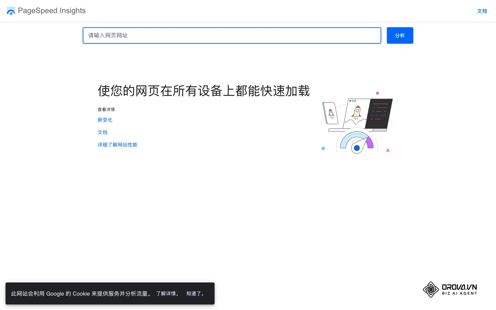 Google PageSpeed Insights可以检测落地页在移动端的加载速度与体验问题
