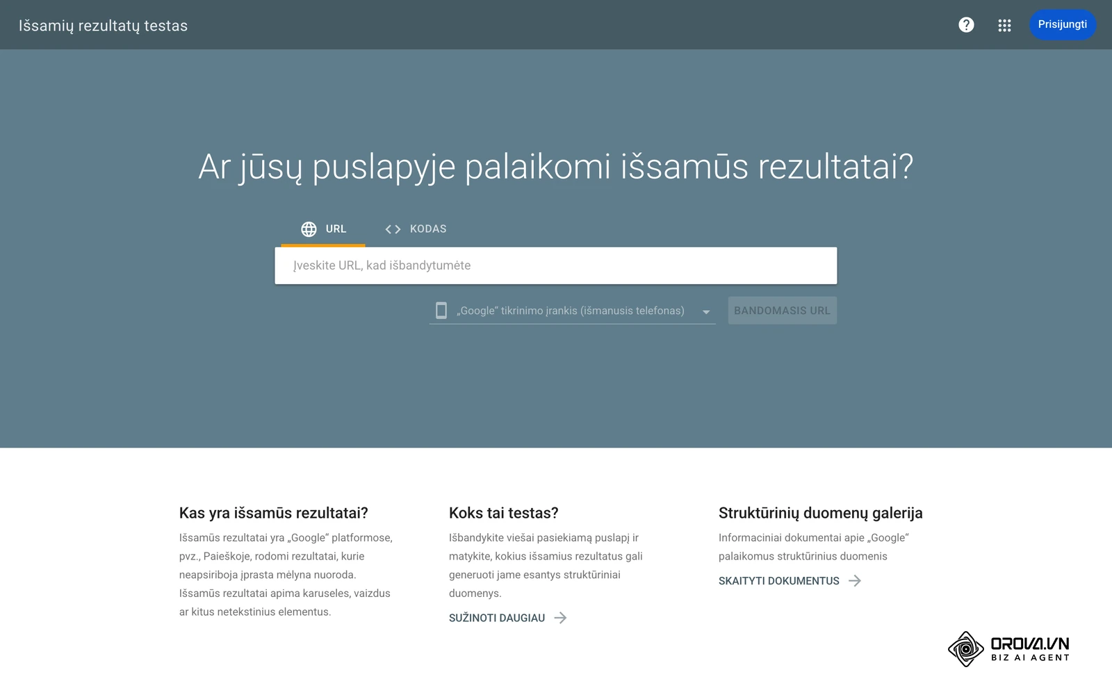 „Google“ išsamių rezultatų testo pradinis langas su URL ir kodo skirtukais