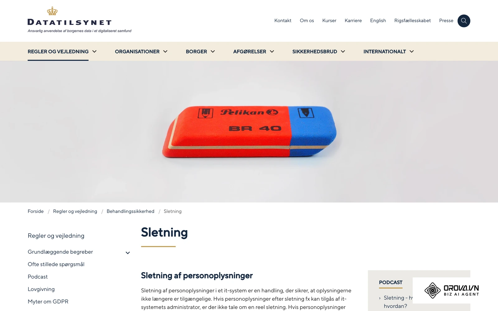 Datatilsynets vejledning om sletning af personoplysninger i it-systemer, herunder såkaldt soft delete.