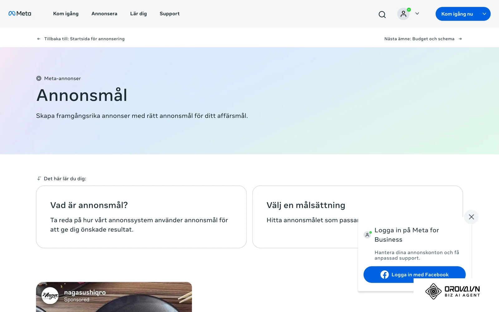 Metas officiella sida om annonsmål, där kampanjmålen i Annonshanteraren förklaras.