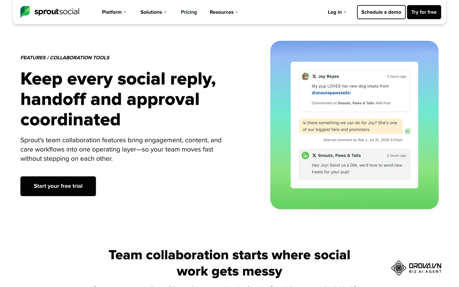Sprout's collaboration page covers case assignment and role-based profile permissions for teams.