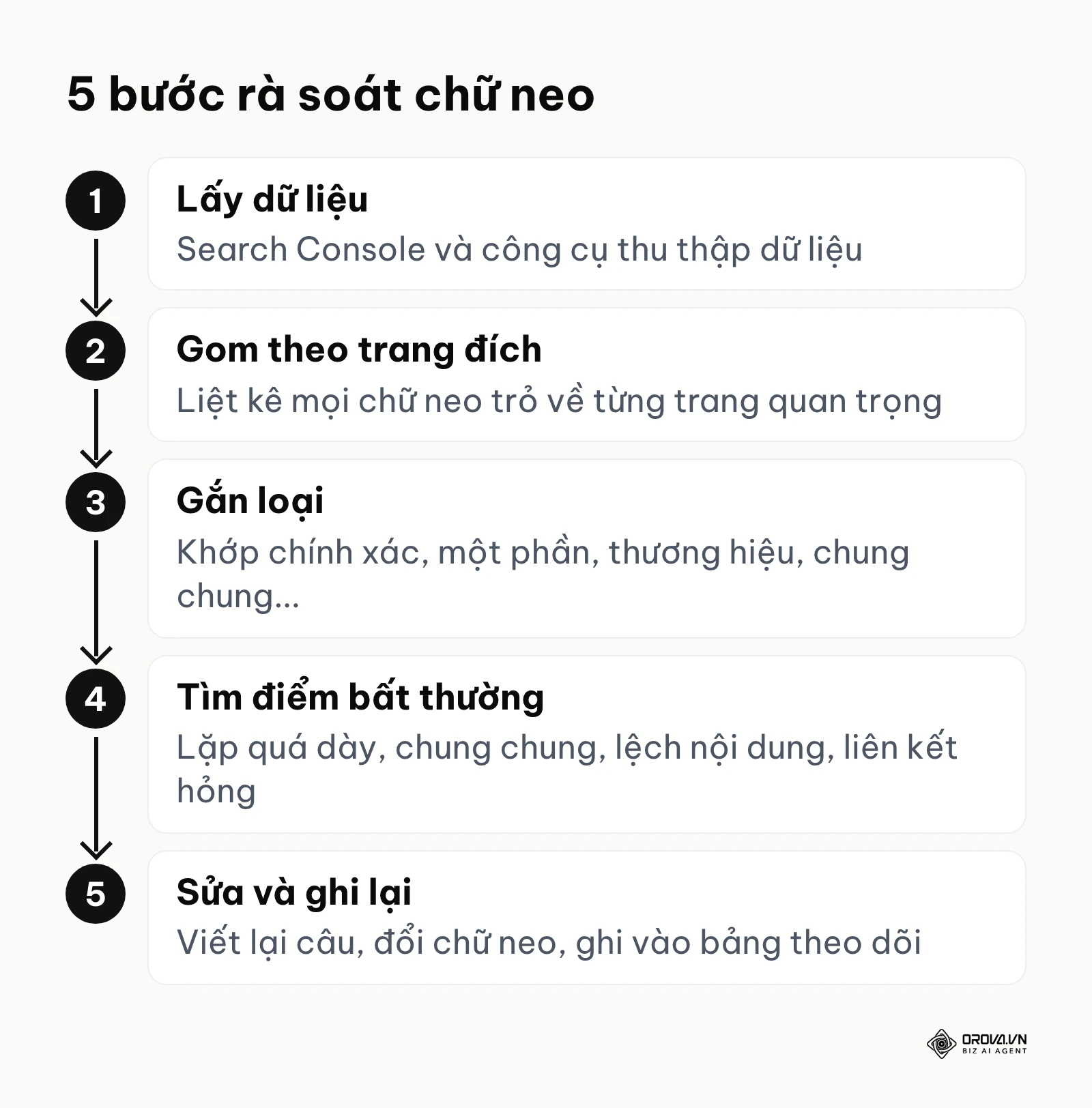 Quy trình 5 bước rà soát anchor text