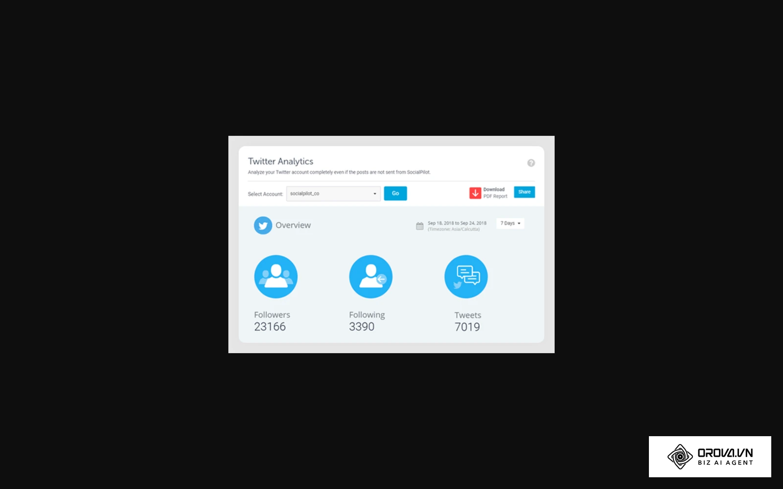 SocialPilot's X (Twitter) analytics page, showing the account and post metrics it reports for X profiles.