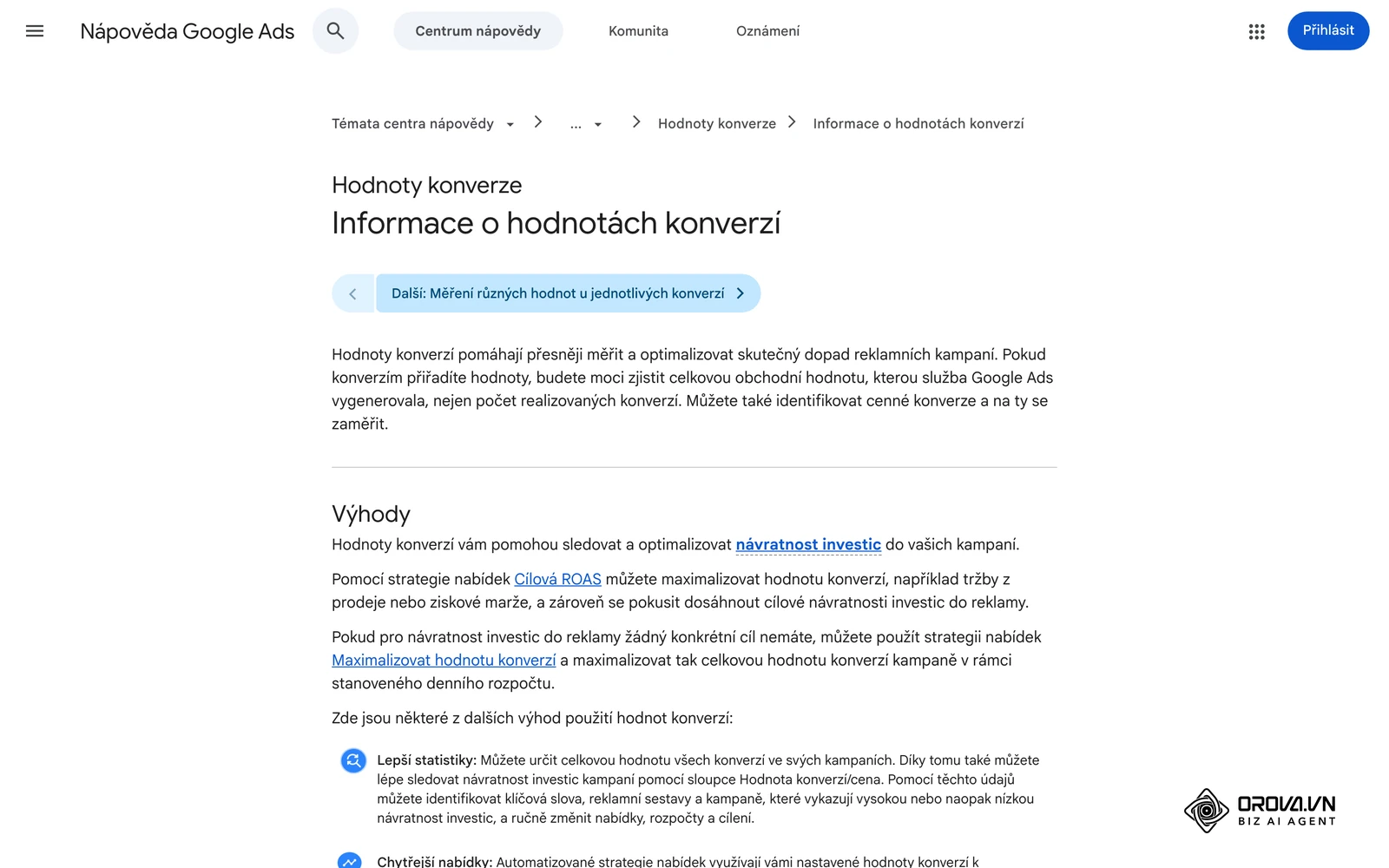 Nápověda Google Ads v češtině: Informace o hodnotách konverzí, bez kterých nelze ROAS počítat.