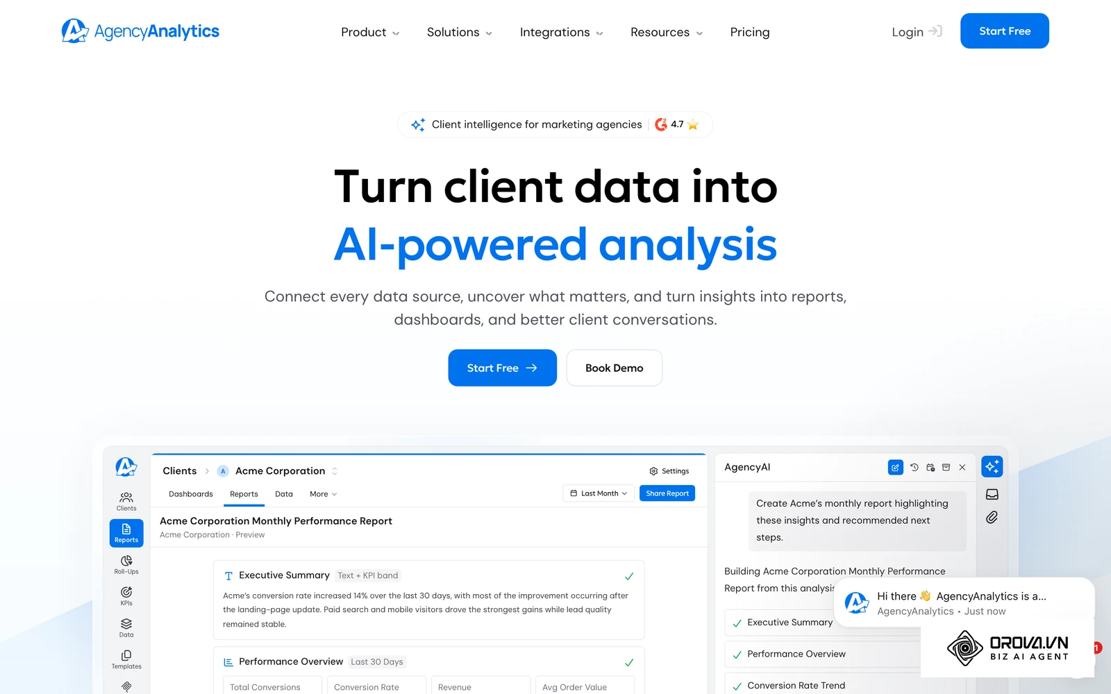 AgencyAnalytics aggregates data from multiple ad networks into client-ready white-label reports.