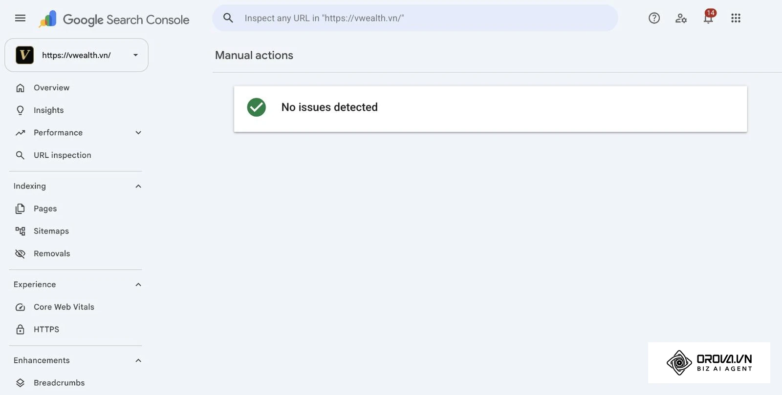 Real Manual actions report for vwealth.vn showing no issues detected.