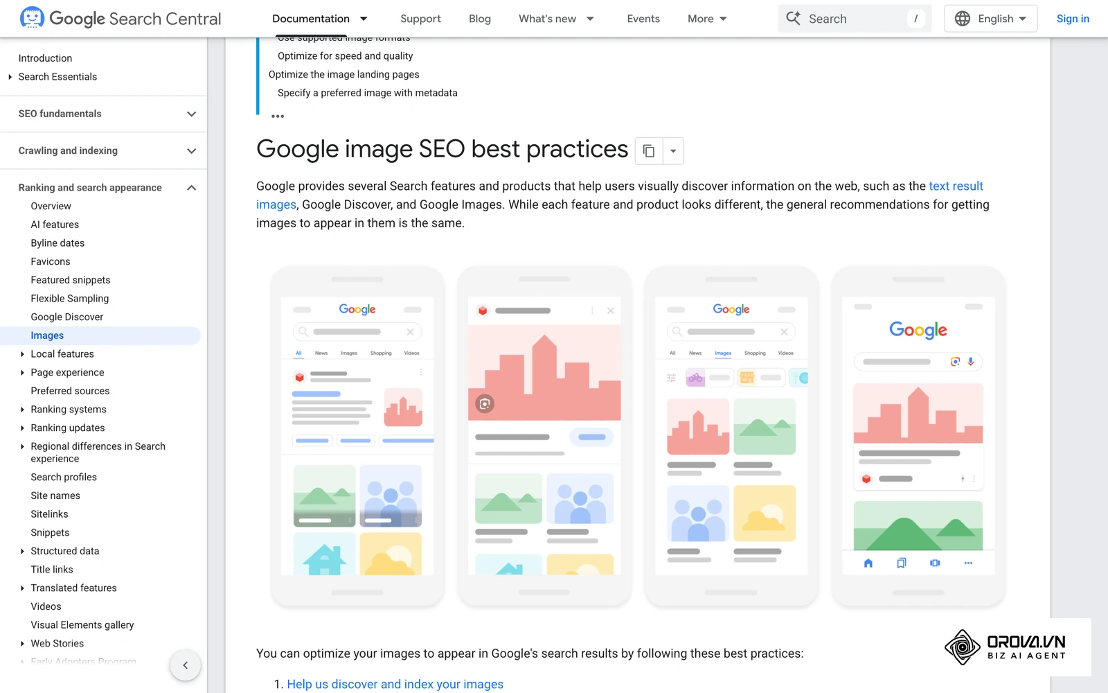 Alt Text: Search engines cannot "see" images. You must write descriptive Alt Text explaining what the image depicts, incorporating keywords where relevant and natural.