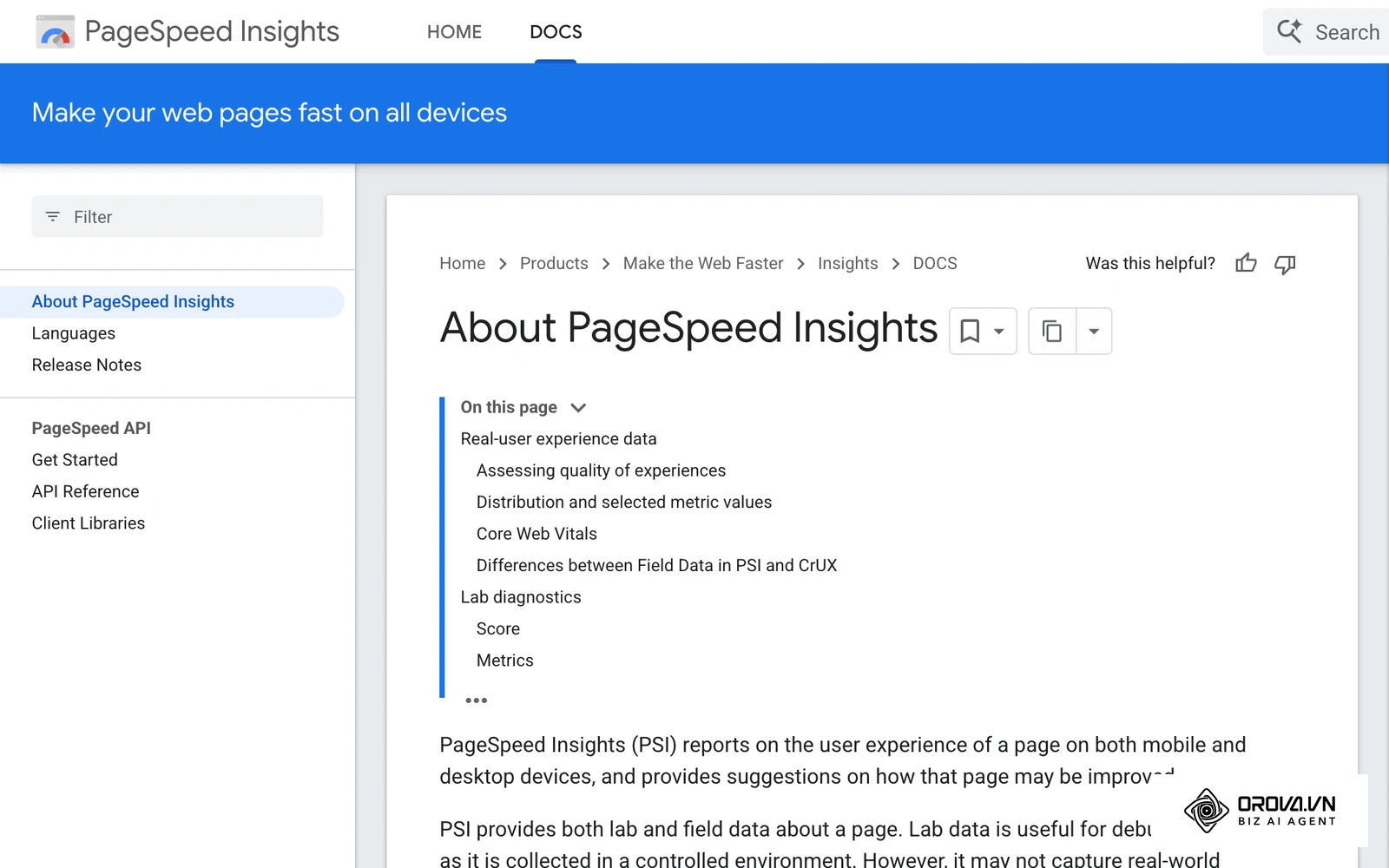 Pagina „About PageSpeed Insights” din documentația Google for Developers, cu secțiunile Real-user experience data și Lab diagnostics.