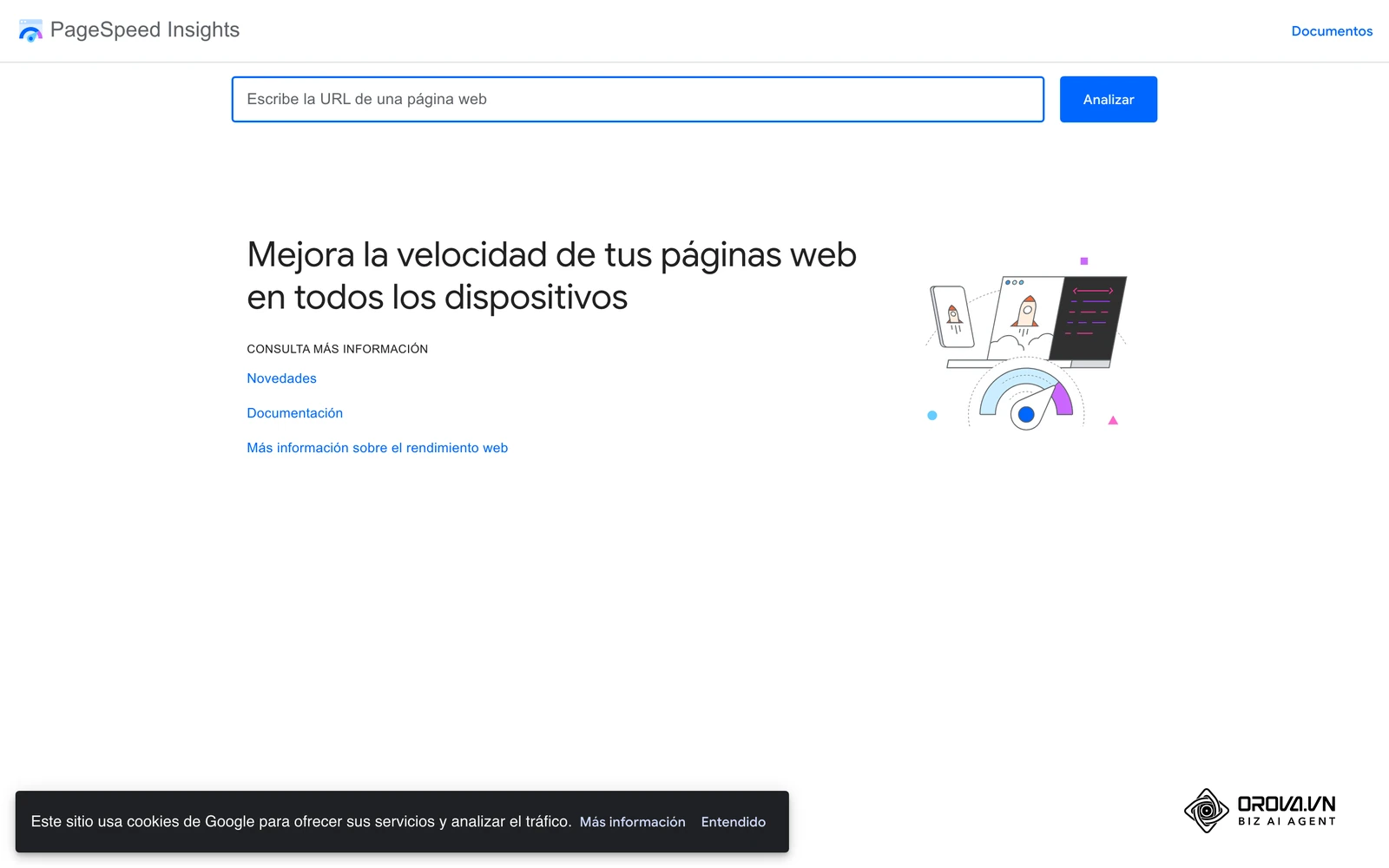 Página de inicio de PageSpeed Insights, donde se analiza una URL para medir su rendimiento.