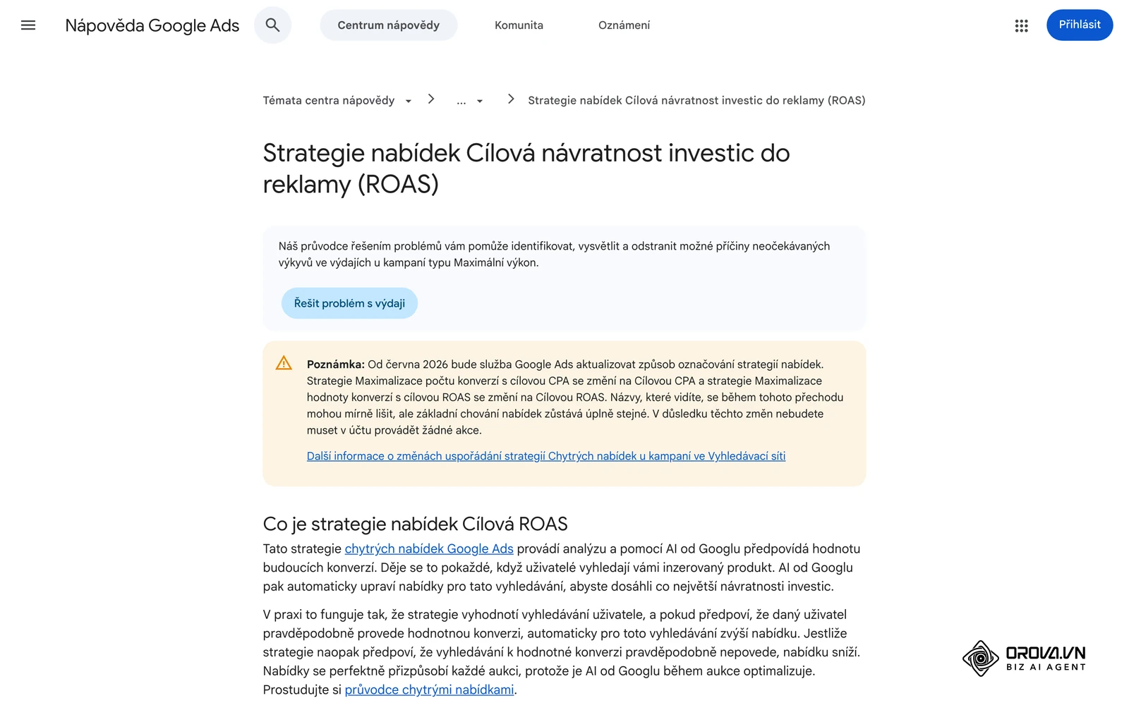 Nápověda Google Ads v češtině: strategie nabídek Cílová návratnost investic do reklamy (ROAS).