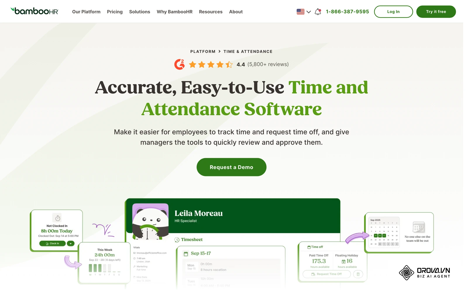 BambooHR time and attendance page showing an employee timesheet next to time-off balances.