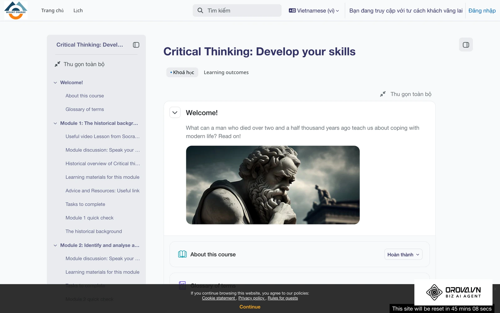 Khoá Critical Thinking trên trang demo Moodle: nội dung chẻ thành từng module, mỗi module gồm video ngắn, tài liệu, thảo luận và bài kiểm tra nhanh.