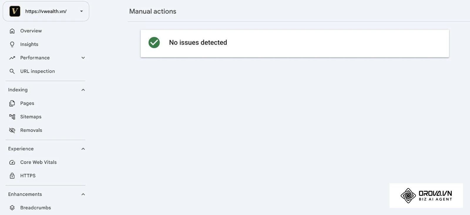 Écran Actions manuelles de Google Search Console pour vwealth.vn affichant « No issues detected »