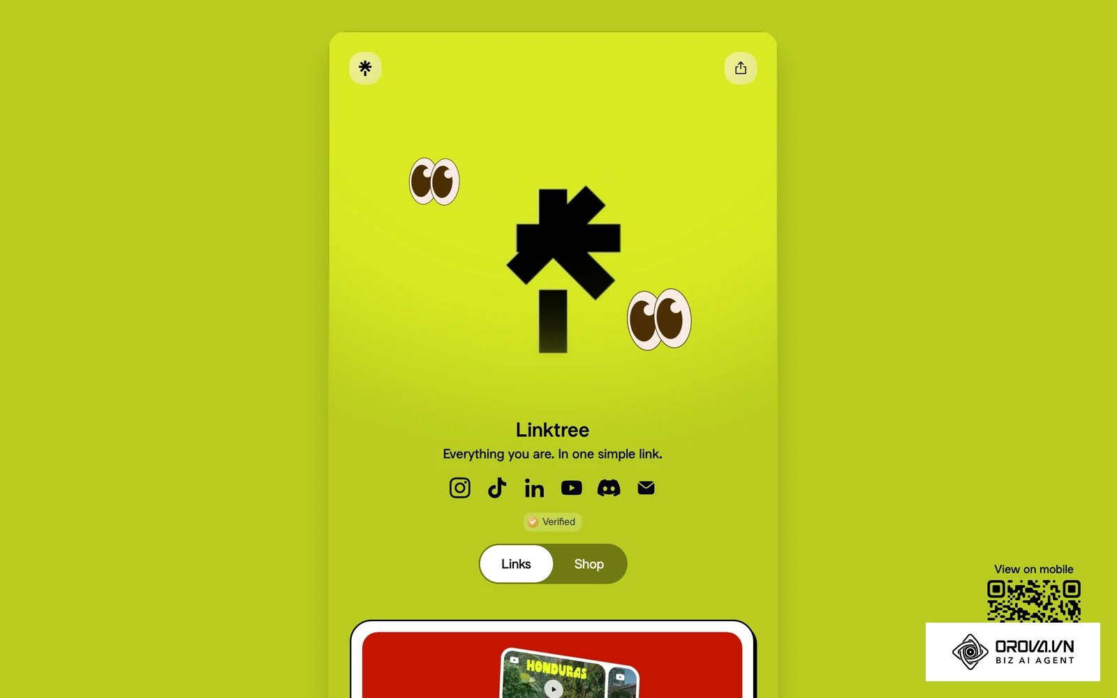 Linktree's own live profile page: avatar, short bio, and a vertical stack of link buttons.