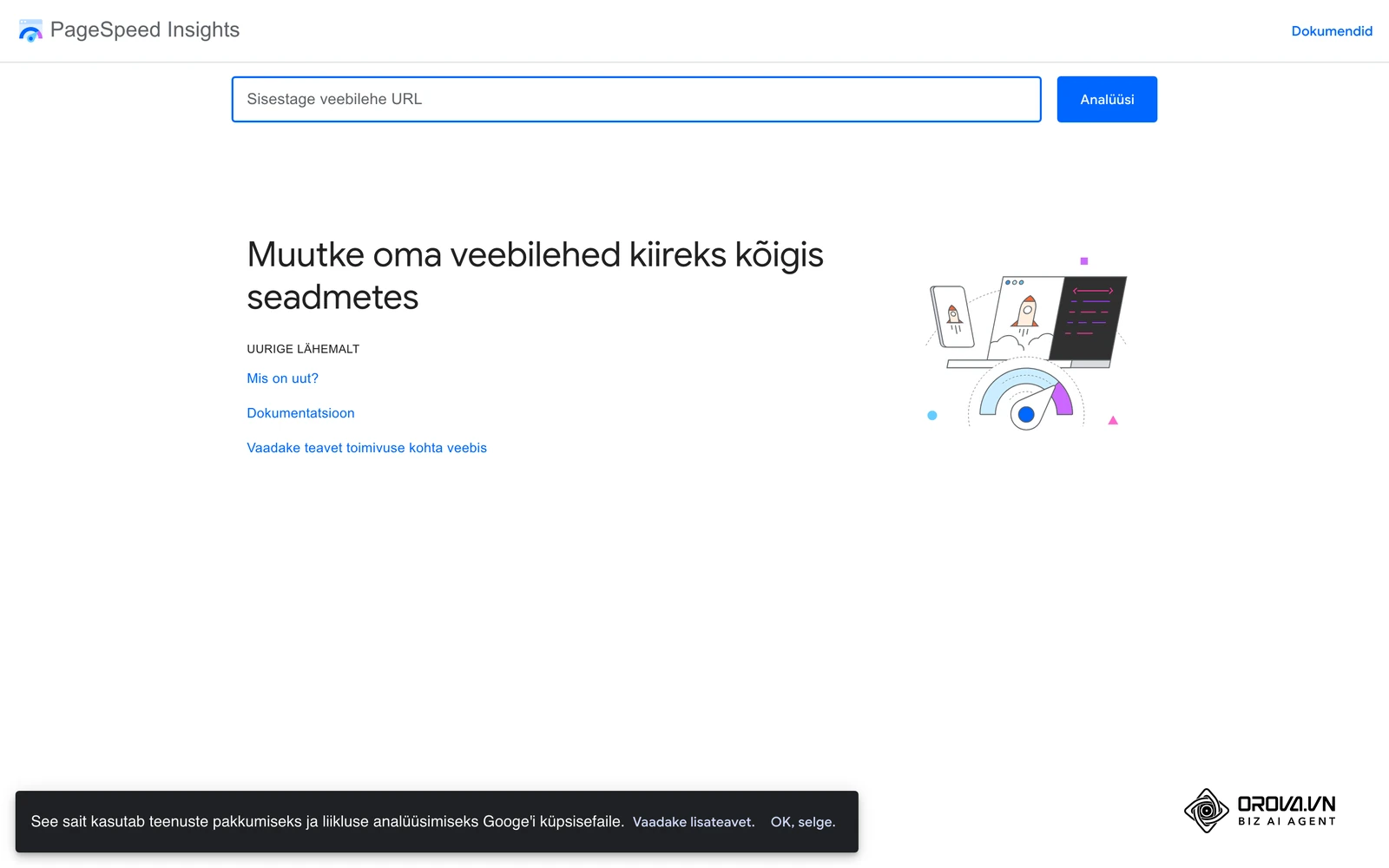 Google'i PageSpeed Insights: sisesta lehe aadress, et näha Core Web Vitalsi näitajaid mobiilis ja arvutis.