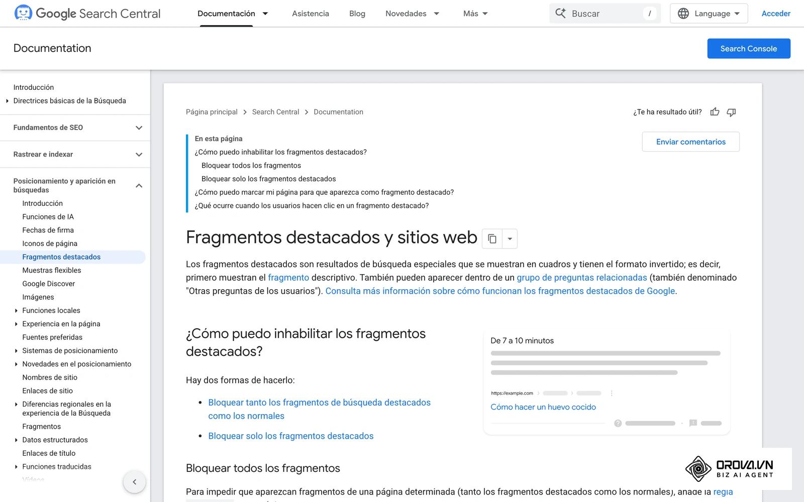 Documentación oficial de Google sobre cómo se eligen y muestran los fragmentos en los resultados.