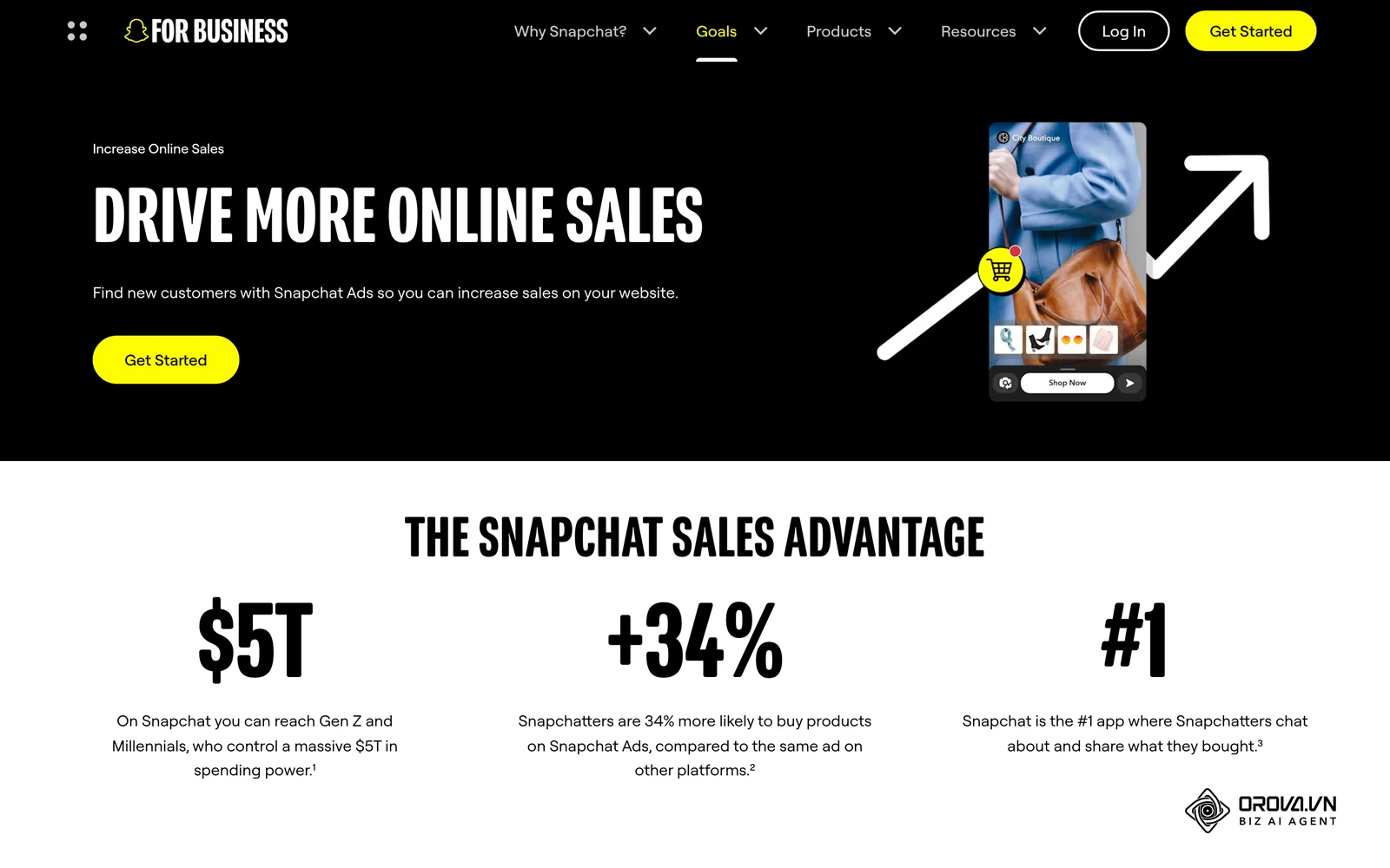Snapchat for Business e-commerce page showing a shoppable vertical ad with product thumbnails and a Shop Now button.