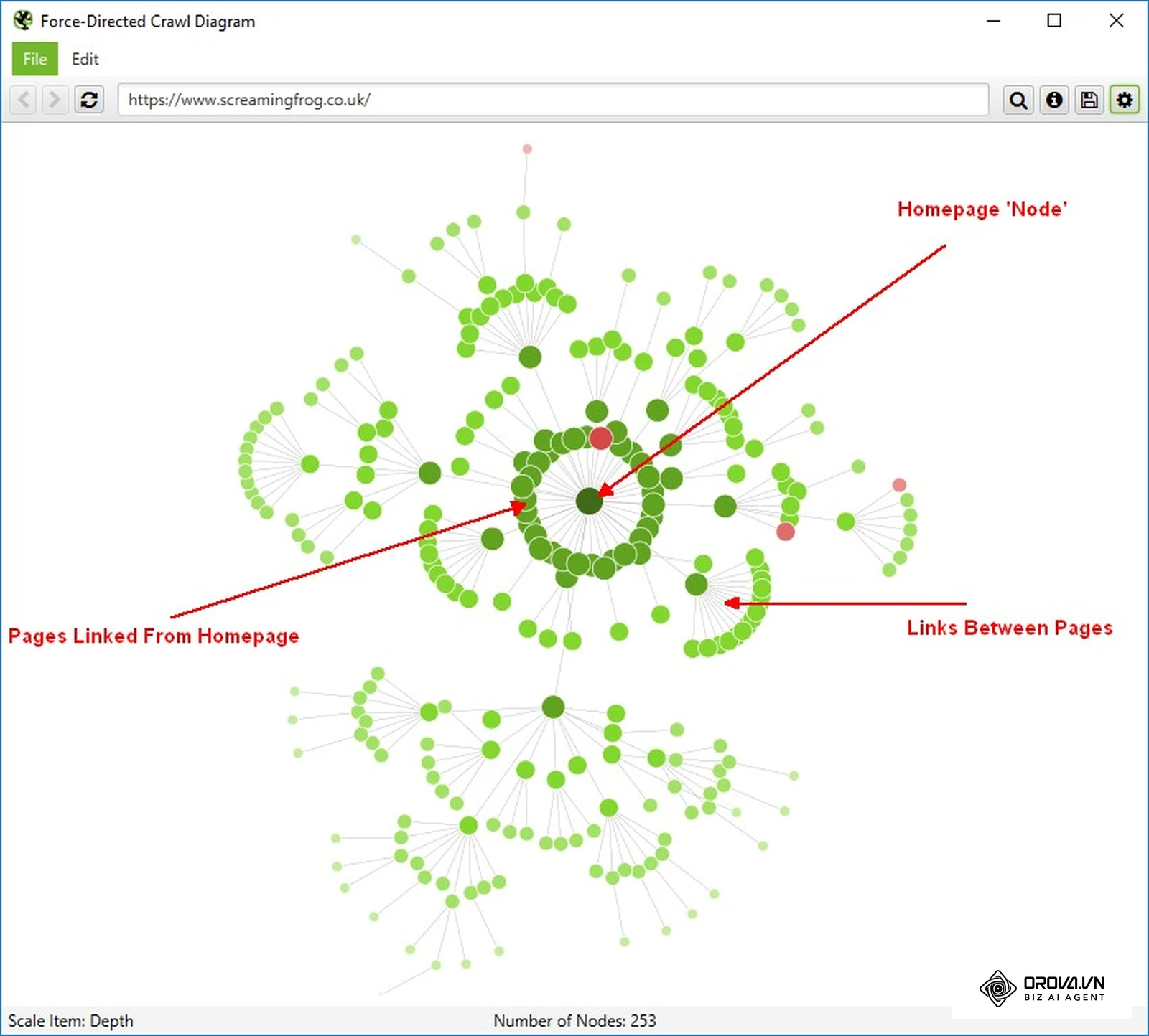 Diagrama de rastreo dirigido por fuerzas (Force-Directed Crawl Diagram) real de Screaming Frog, útil para mostrar al cliente cómo se enlazan las secciones: la portada en el centro y los grupos de páginas alrededor.