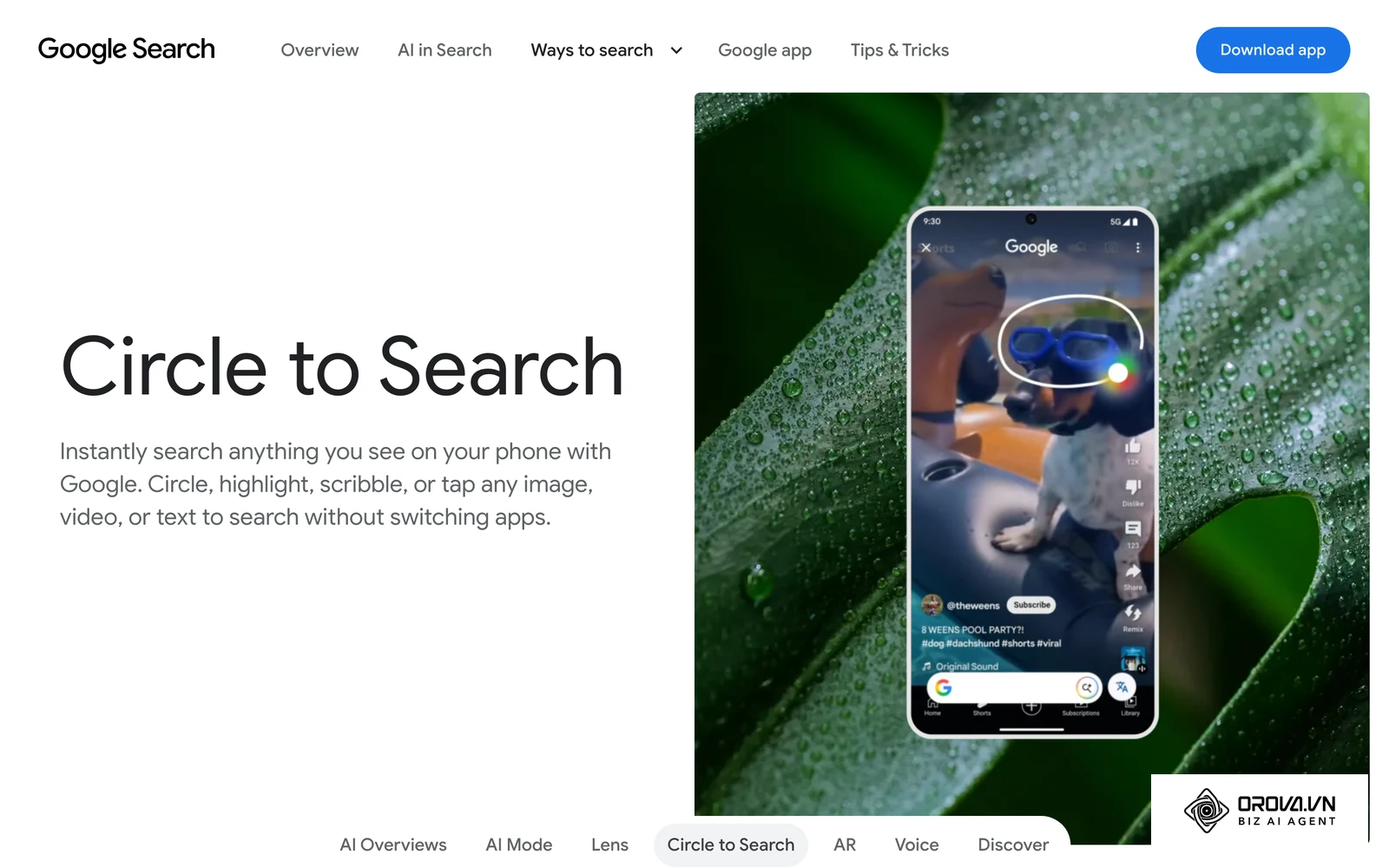 Página oficial de Circle to Search de Google, la función de Android que permite rodear un código en pantalla para leerlo.