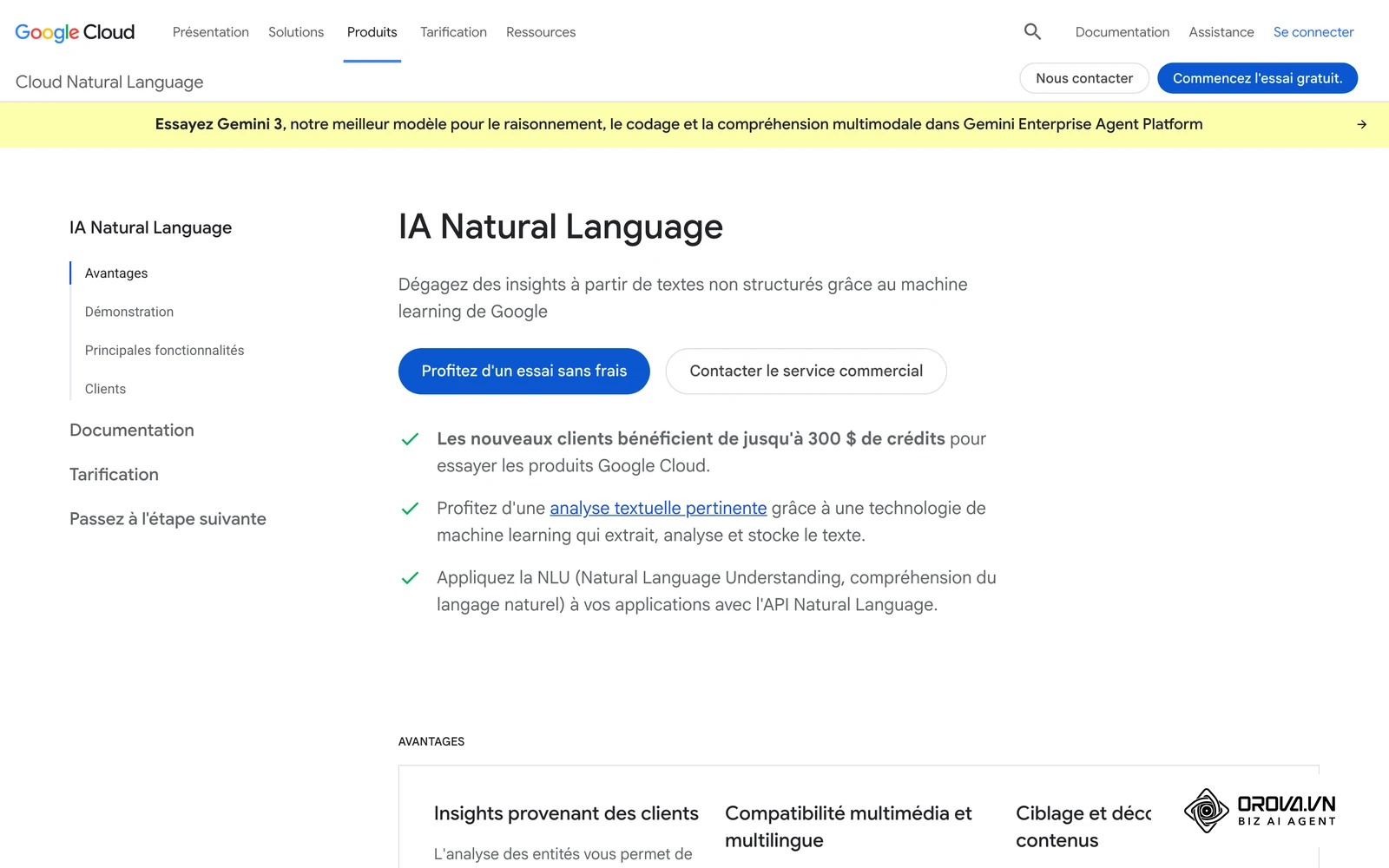 Page officielle de Google Cloud Natural Language, l'API d'analyse d'entités dont la démonstration publique affiche le score de saillance.