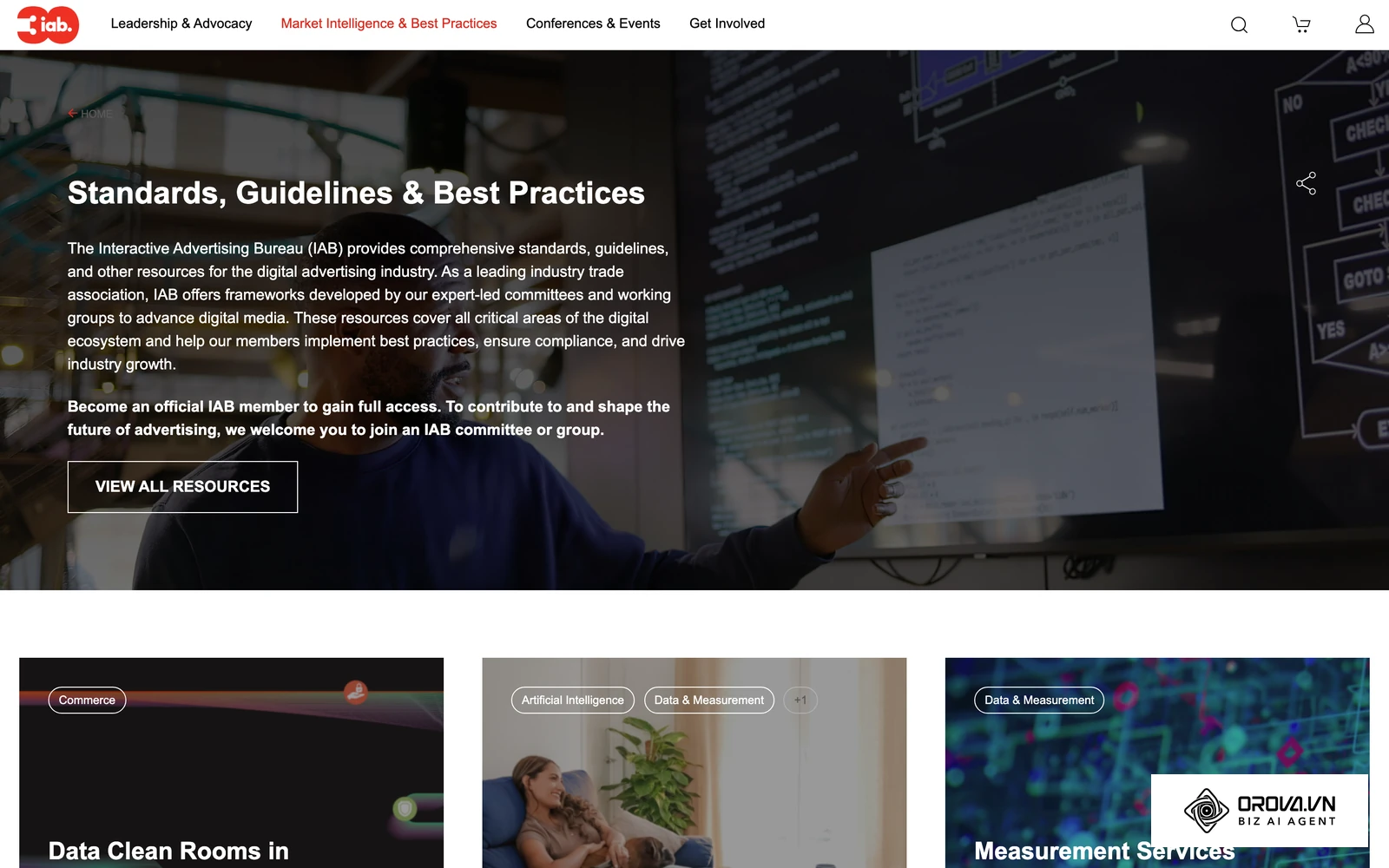 IAB standards and guidelines, a reference point for data and privacy practices across the ad industry.