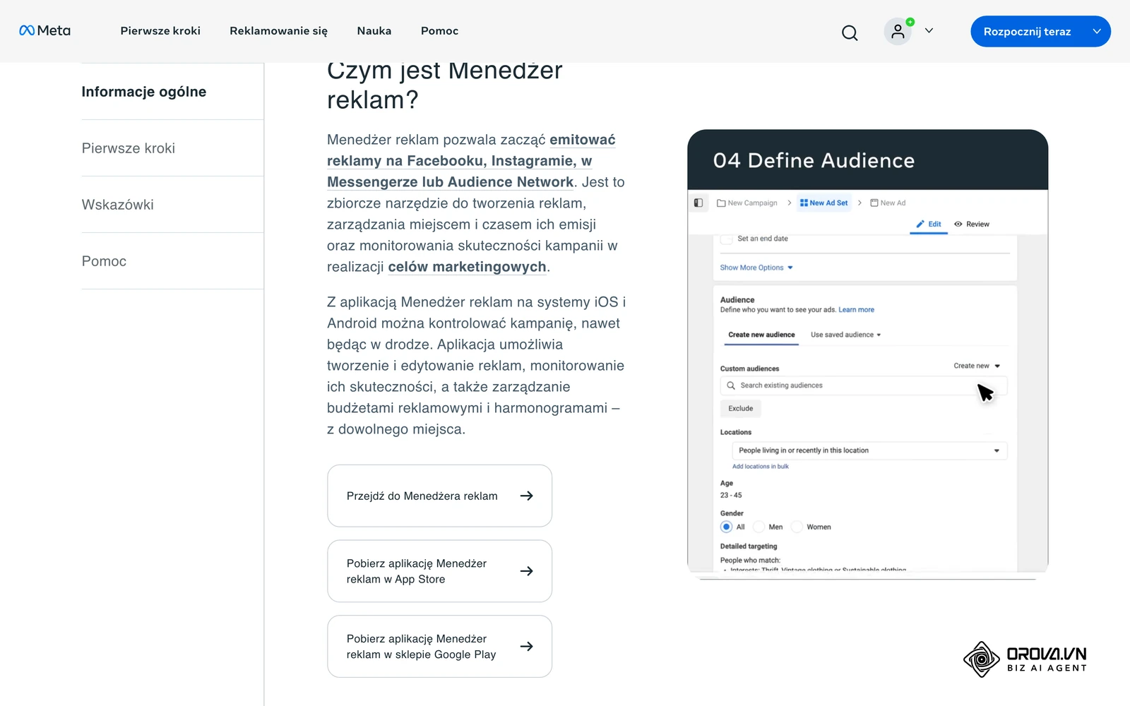 Oficjalna strona Meta o Menedżerze reklam: podgląd ekranu zestawu reklam z sekcją definiowania grupy odbiorców.