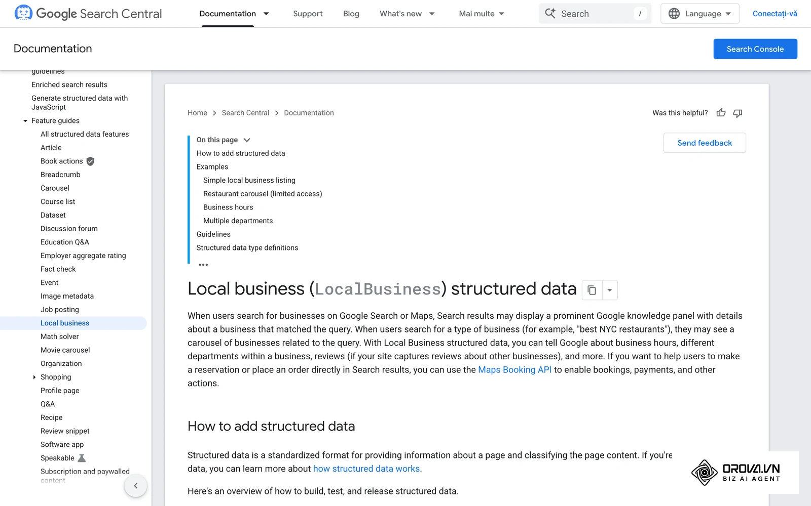 Documentația Google despre datele structurate LocalBusiness pentru companii locale.