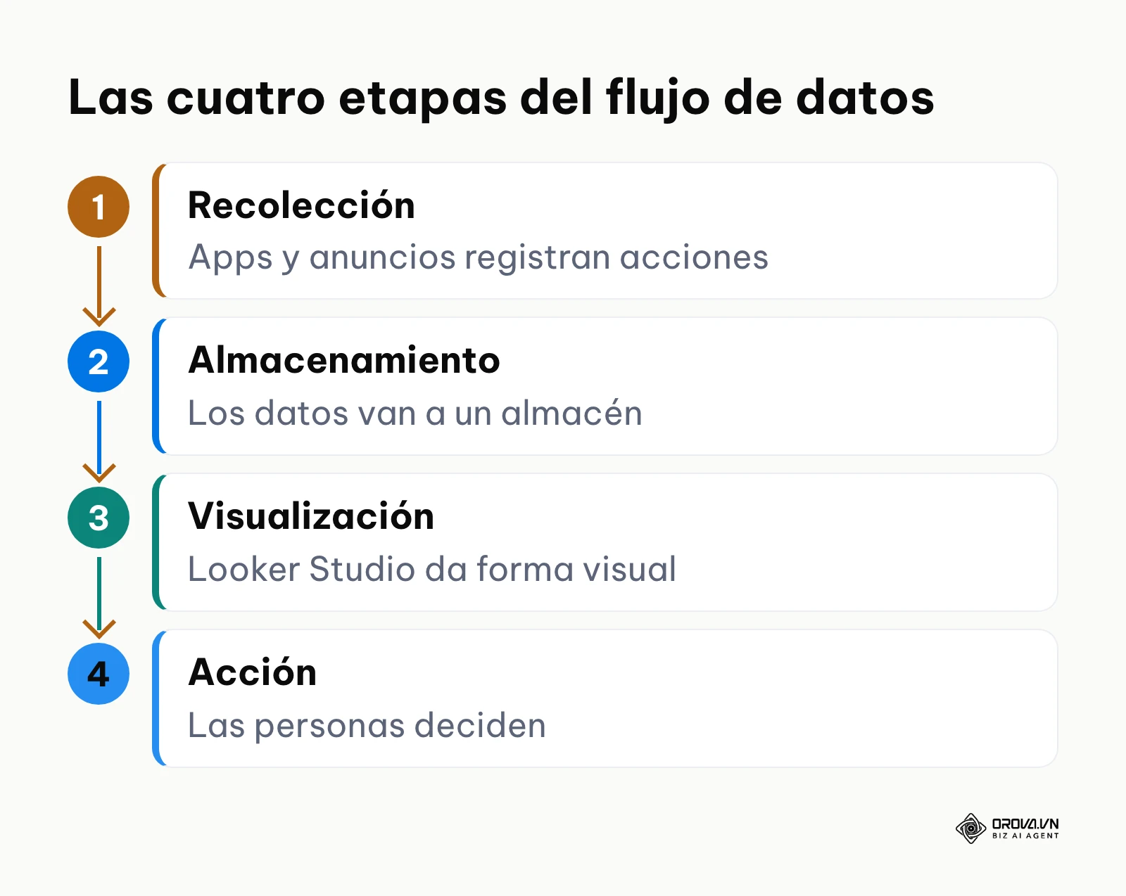 Proceso de cuatro etapas desde la recolección de datos hasta la acción