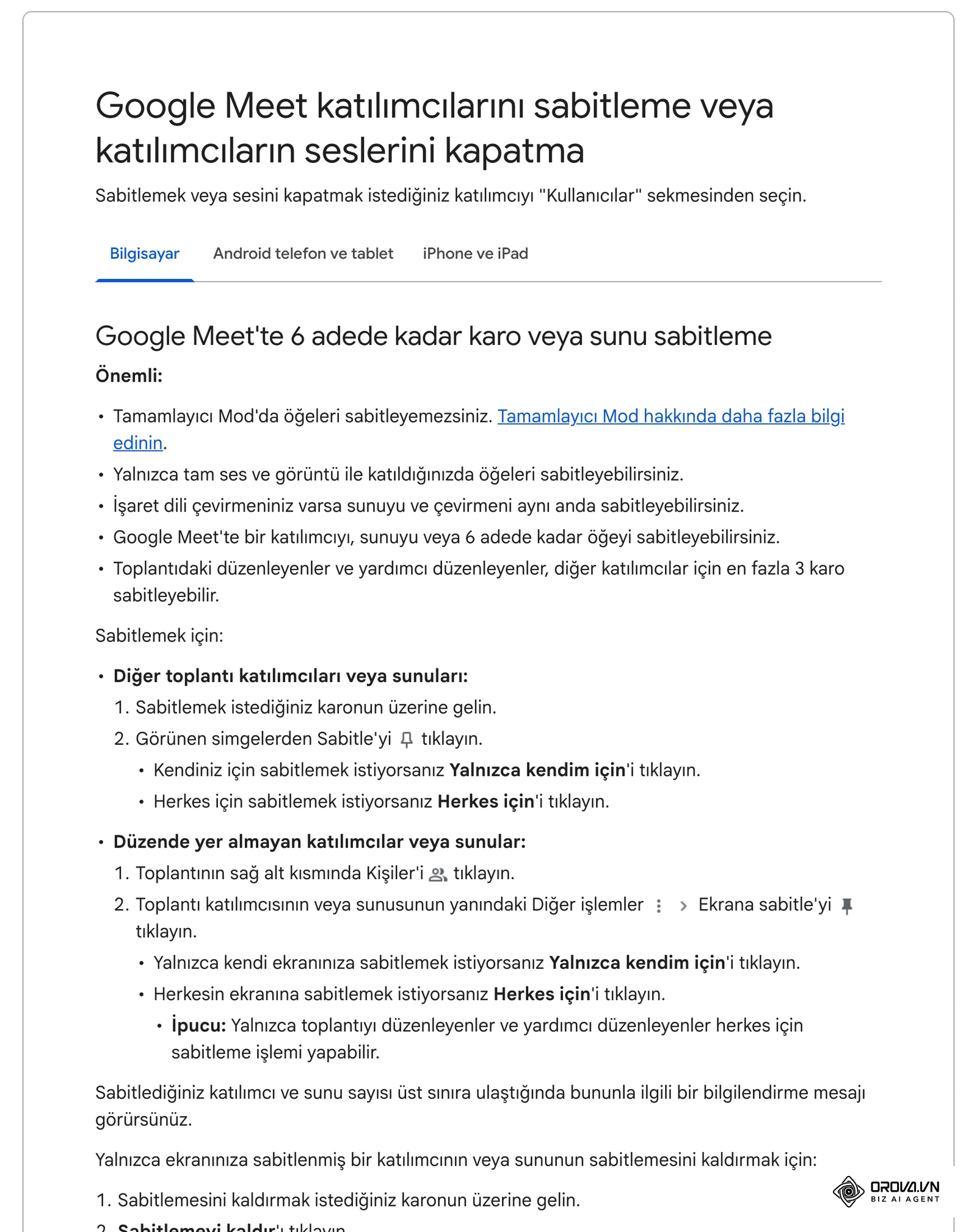 Google Meet Yardım: toplantıda katılımcıları sabitleme ve seslerini kapatma (host denetimleri) sayfası.