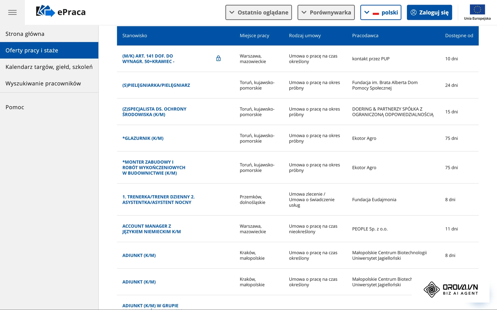 Lista ofert w Centralnej Bazie Ofert Pracy: większość nazw stanowisk ma oznaczenie (K/M) lub formę podwójną, np. Pielęgniarka/Pielęgniarz, a obok widać miejsce pracy i rodzaj umowy.