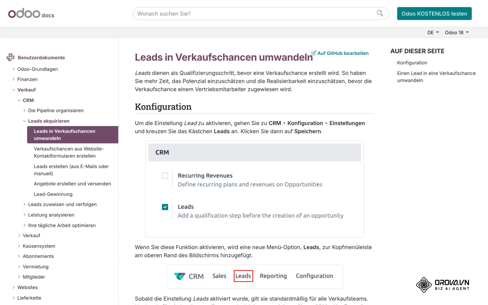 Offizielle Odoo-Dokumentation (deutsch) zum CRM: Umwandeln von Leads in Verkaufschancen mit Screenshots der CRM-Oberfläche.