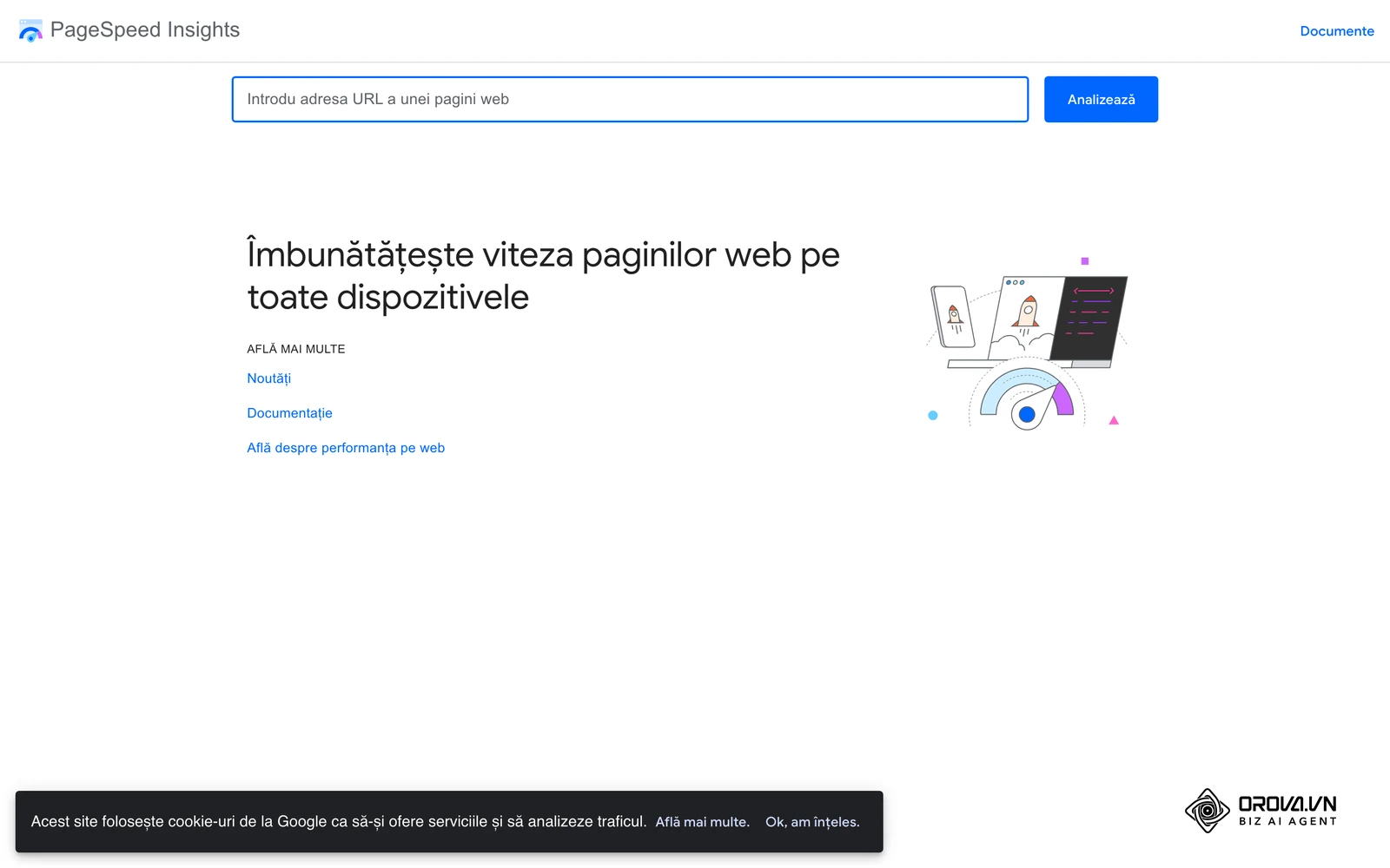 PageSpeed Insights, instrumentul Google în care verifici indicatorii Core Web Vitals pentru mobil și desktop.