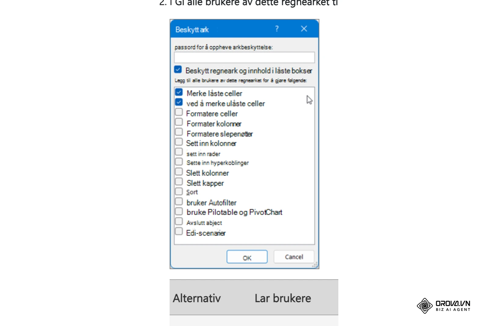 Dialogboksen Beskytt ark i Excel med listen over hva brukerne fortsatt kan gjøre, fra Microsofts brukerstøtteside.