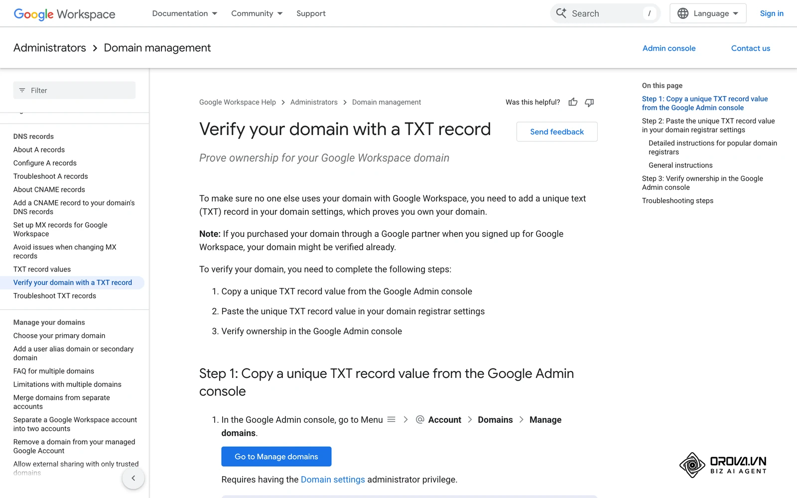 Google Workspace help on verifying a domain with a TXT record, the same kind of DNS step Meta uses for domain verification.