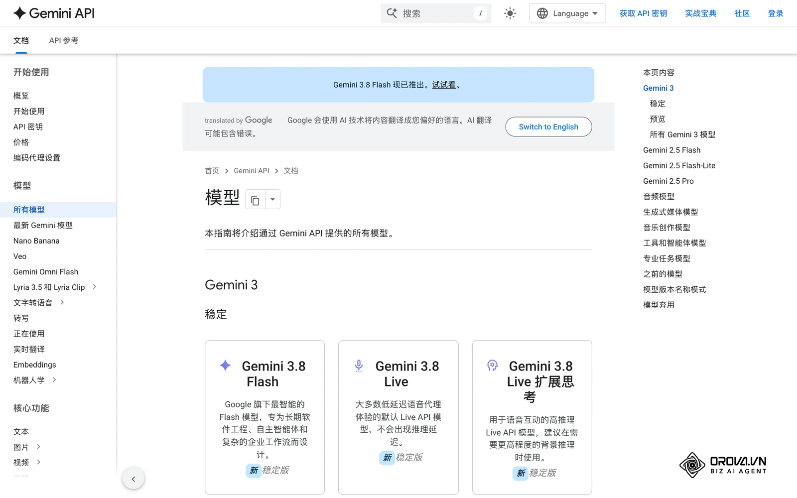 Google 官方的 Gemini 模型说明页面，可查看各型号的定位与能力说明。