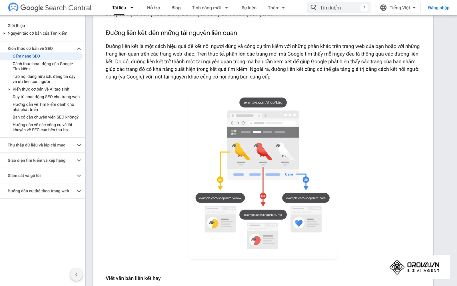 Định hình cấu trúc website (Site Architecture): Internal Link giúp phân tầng cấu trúc website rõ ràng, tạo ra các "Topic Cluster" (Cụm chủ đề).