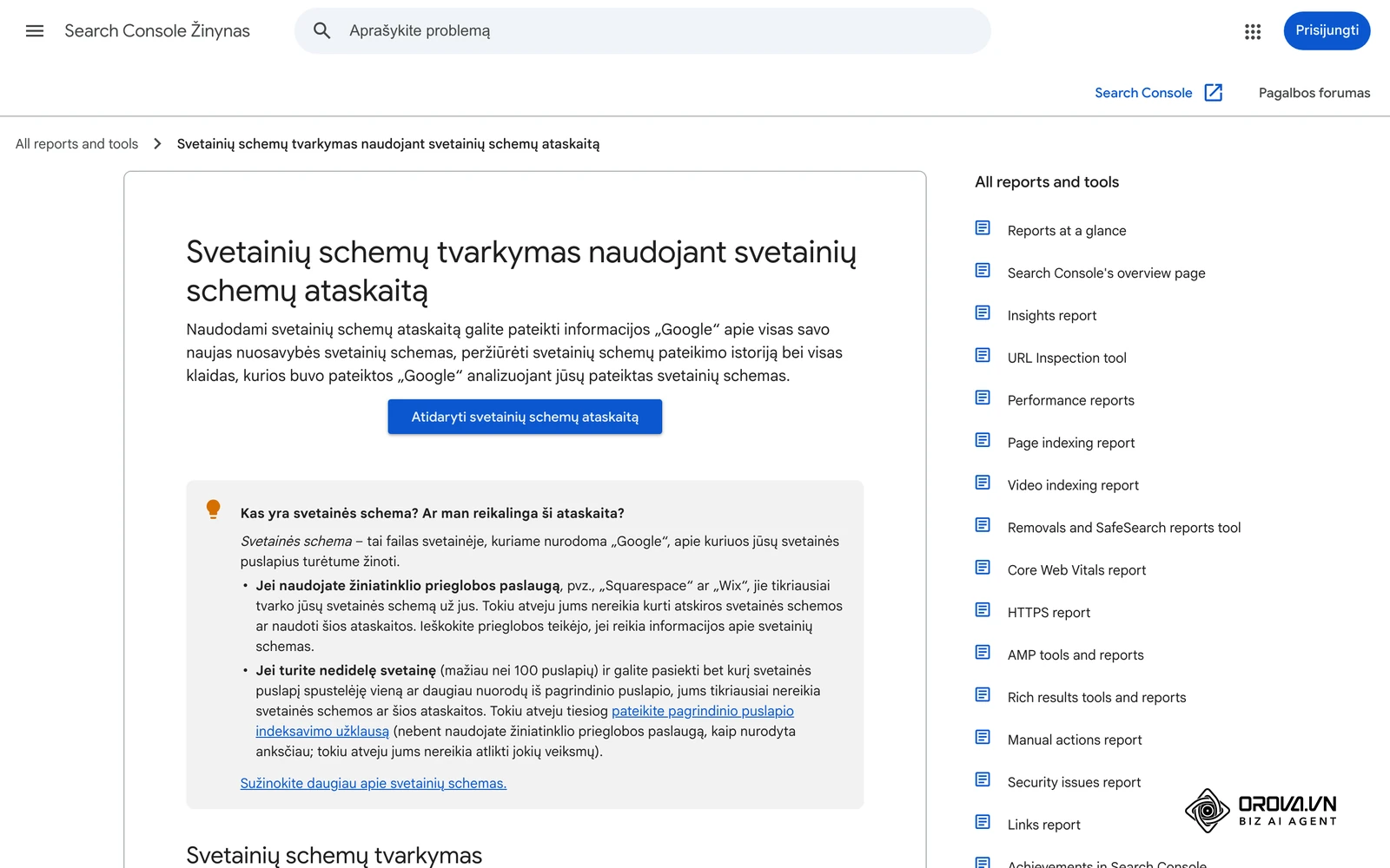 Search Console pagalbos centras lietuviškai: svetainių schemų ataskaita, laukelis „Pridėti naują svetainės schemą“ ir būsenos „Pavyko“ / „Nepavyko gauti“.