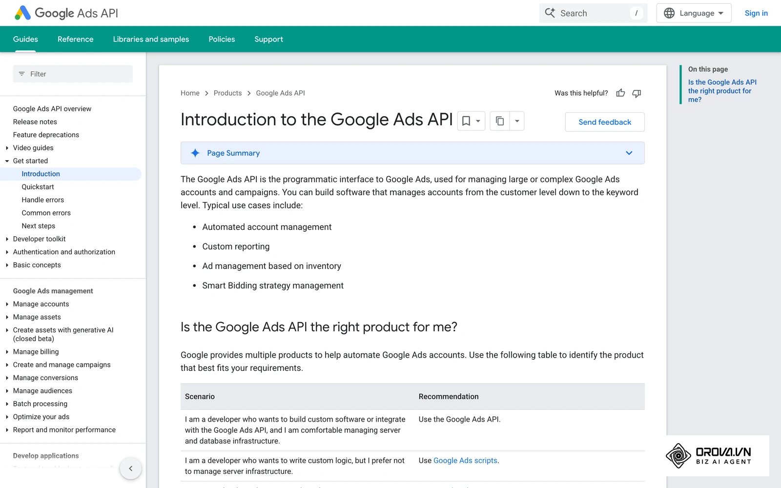 Google Ads API documentation, the layer that lets tools manage budgets and campaigns programmatically.