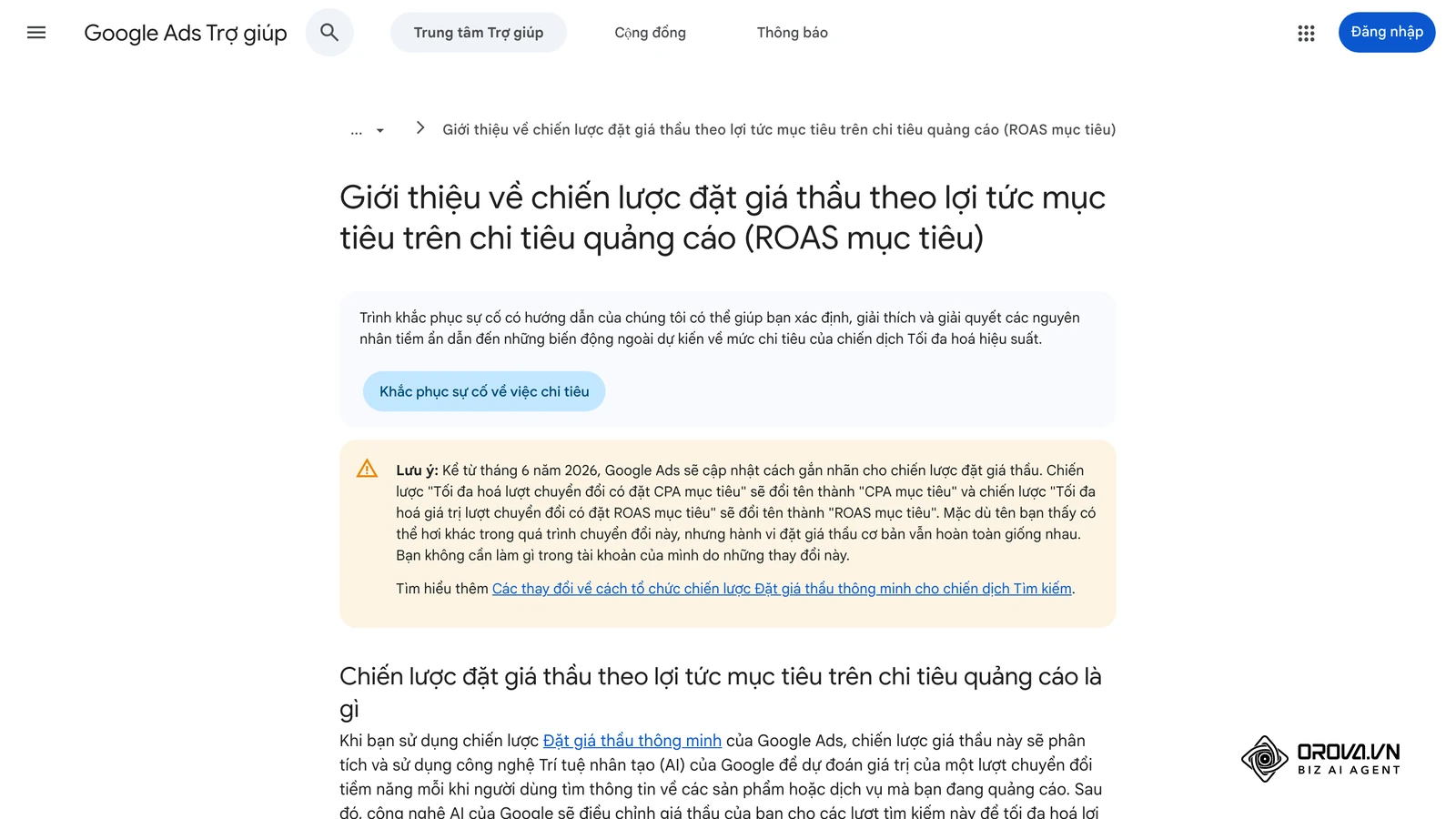 Tháng vừa qua, doanh nghiệp của bạn chi 20.000.000 VNĐ cho một chiến dịch Google Ads bán giày thể thao.