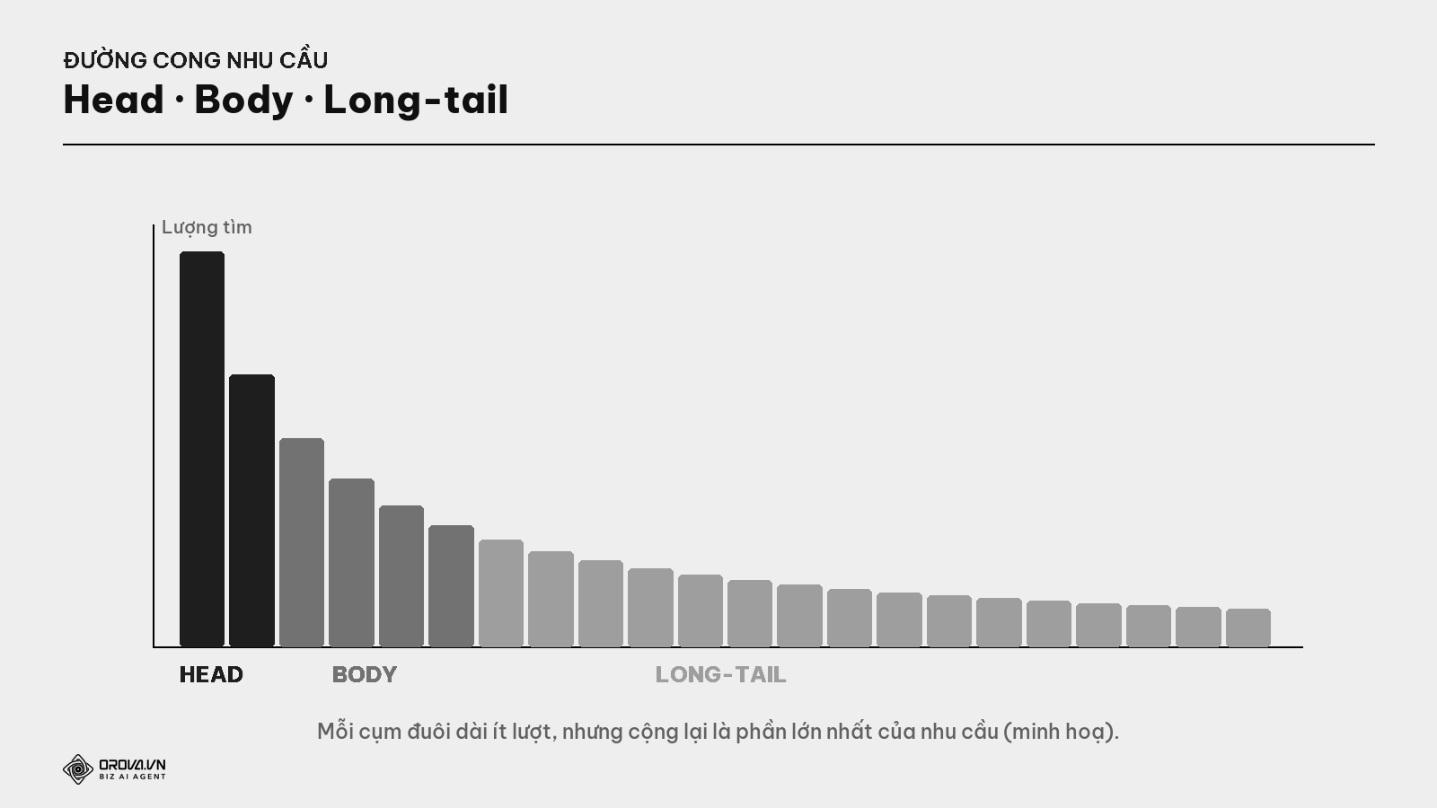 Đường cong nhu cầu — head, body, long-tail