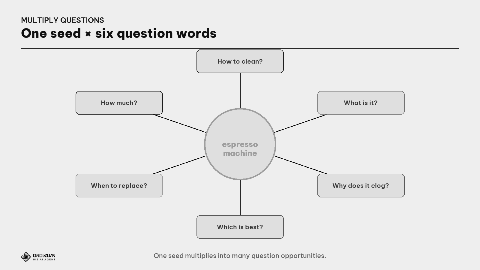Six question words multiplying one seed into many questions